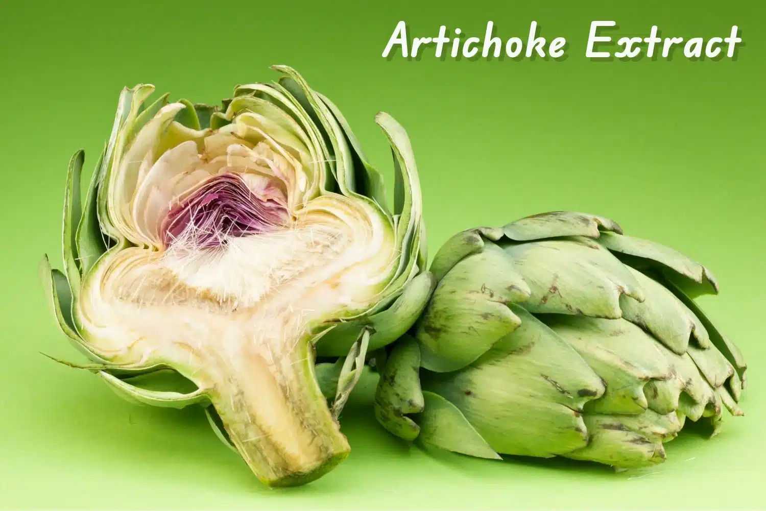 Artichoke Extract: Exploring Its Properties and Applications