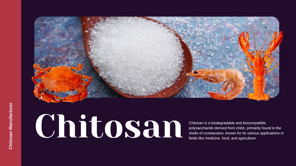 Chitosan 