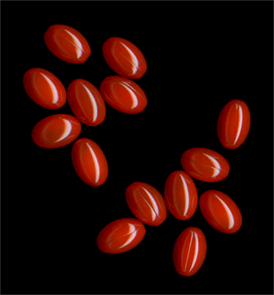 Comparative Analysis of Berberine HCL and Coenzyme Q10