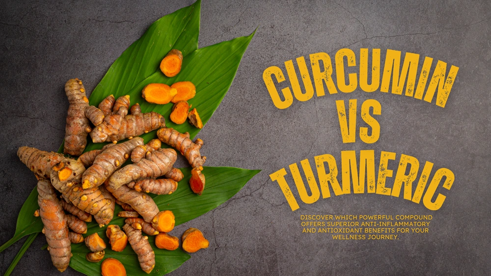 Curcumin vs Turmeric