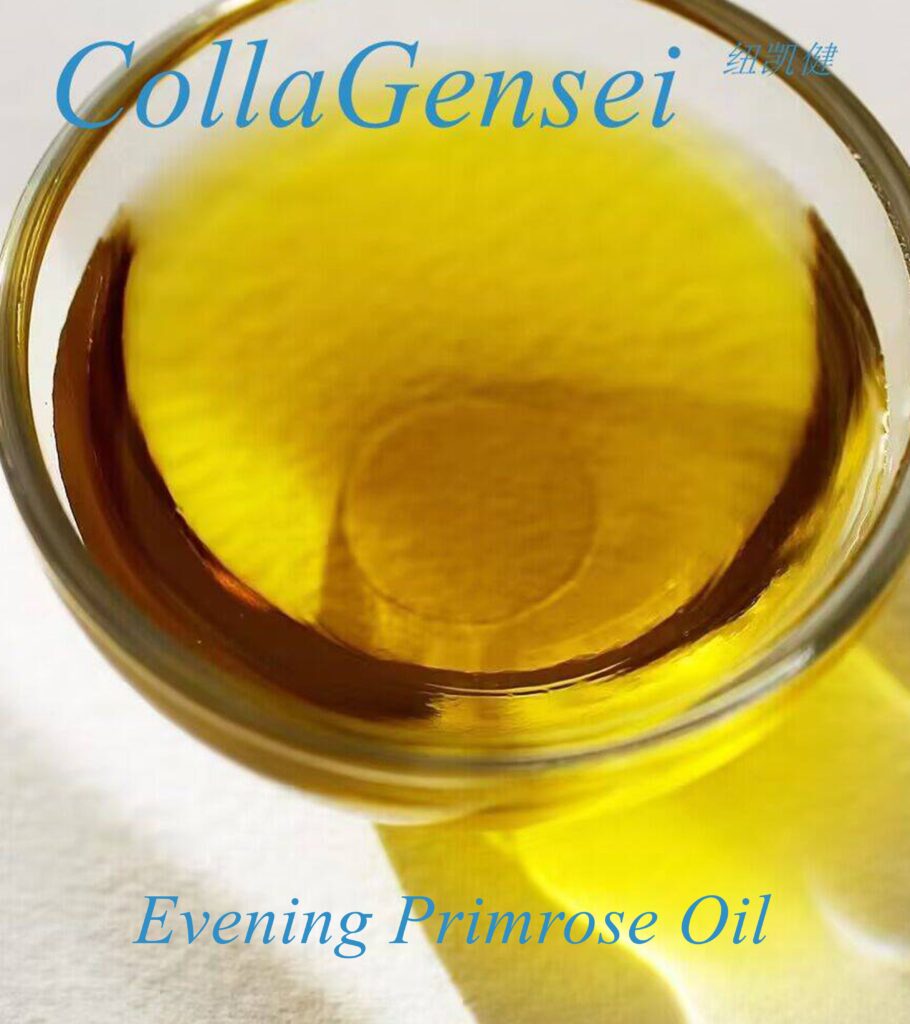 Evening Primrose Oil