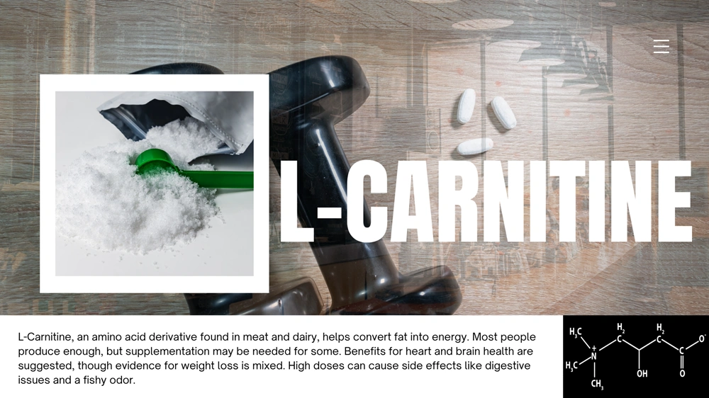  L-Carnitine