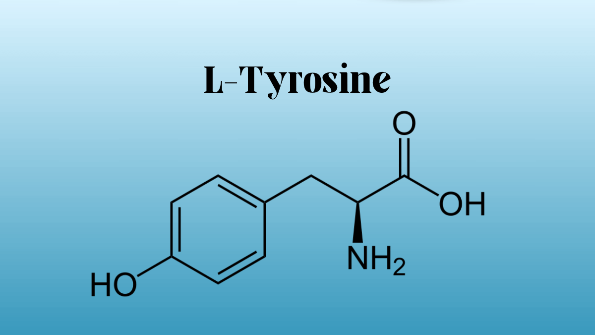 L-Tyrosine: Unveiling its Role in Health and Well-being