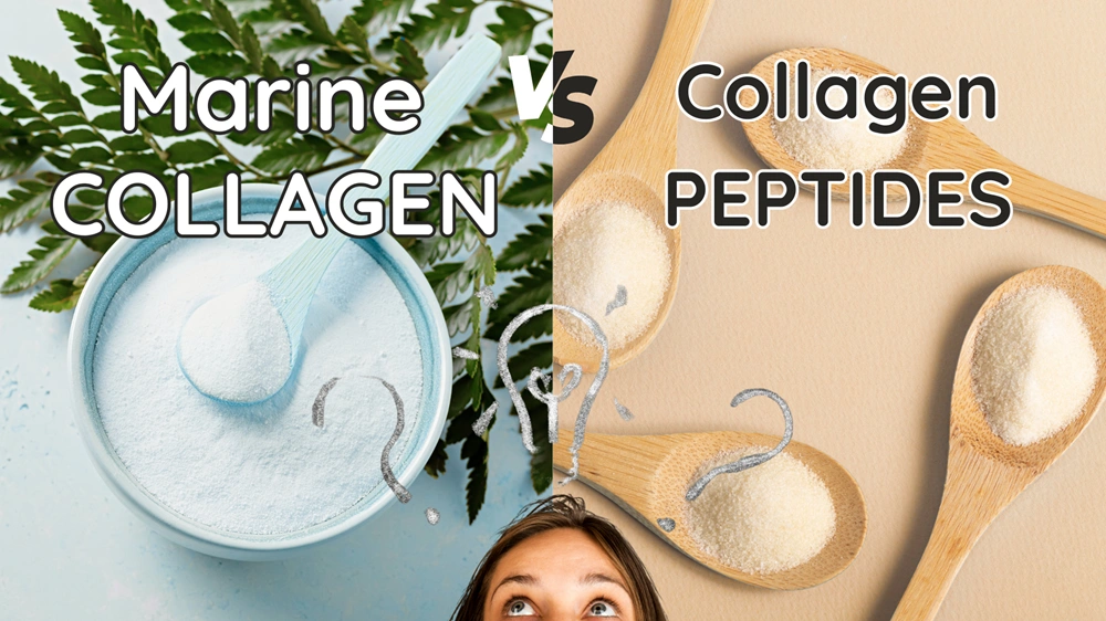 Marine Collagen vs Collagen Peptides
