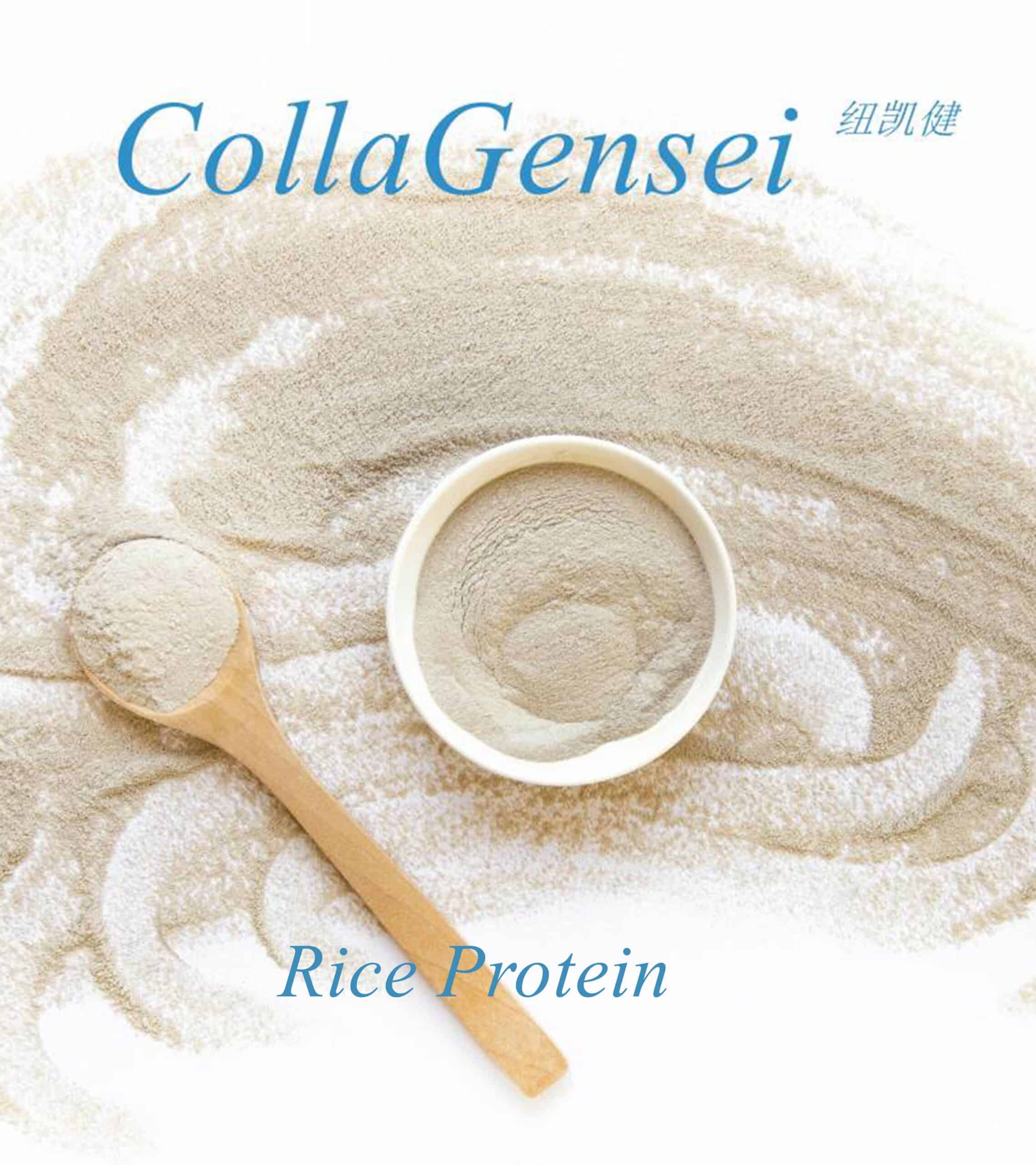 Explore Rice Protein: The Nutritional Power of Natural Plant Protein