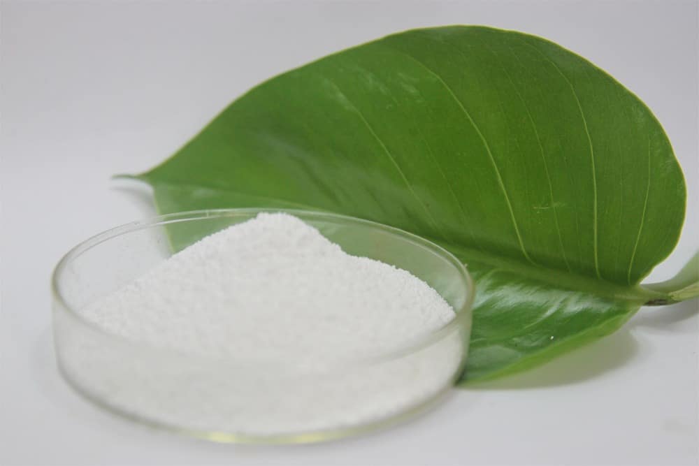 A Comprehensive Comparison of Glucosamine and Sodium Hyaluronate for Joint Health