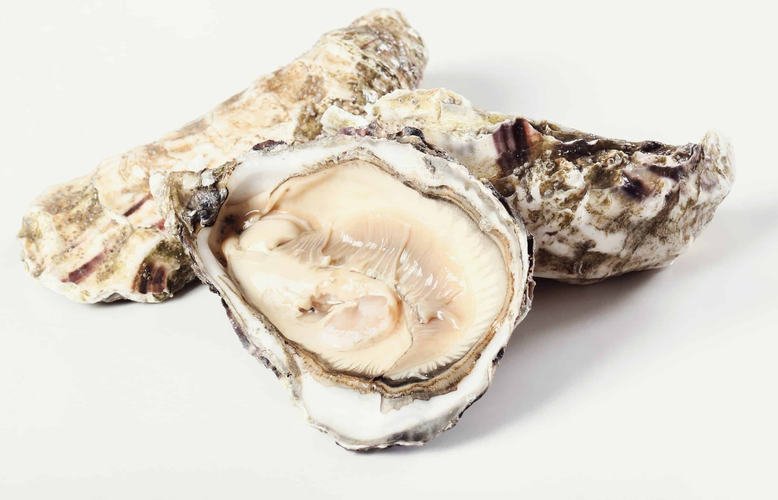A Comprehensive Guide to Chicken Collagen Type 2 and Oyster Peptide