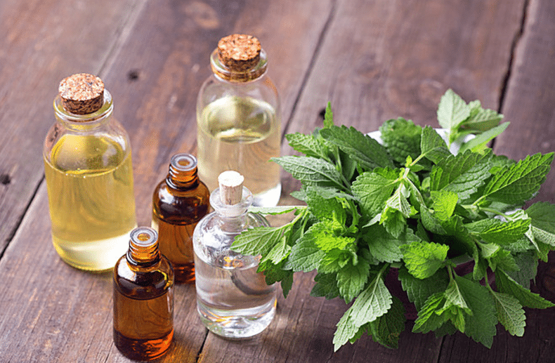 Phosphatidylserine vs DHA Algal Oil