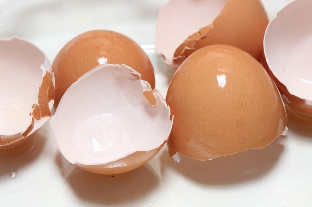 Eggshell Membrane