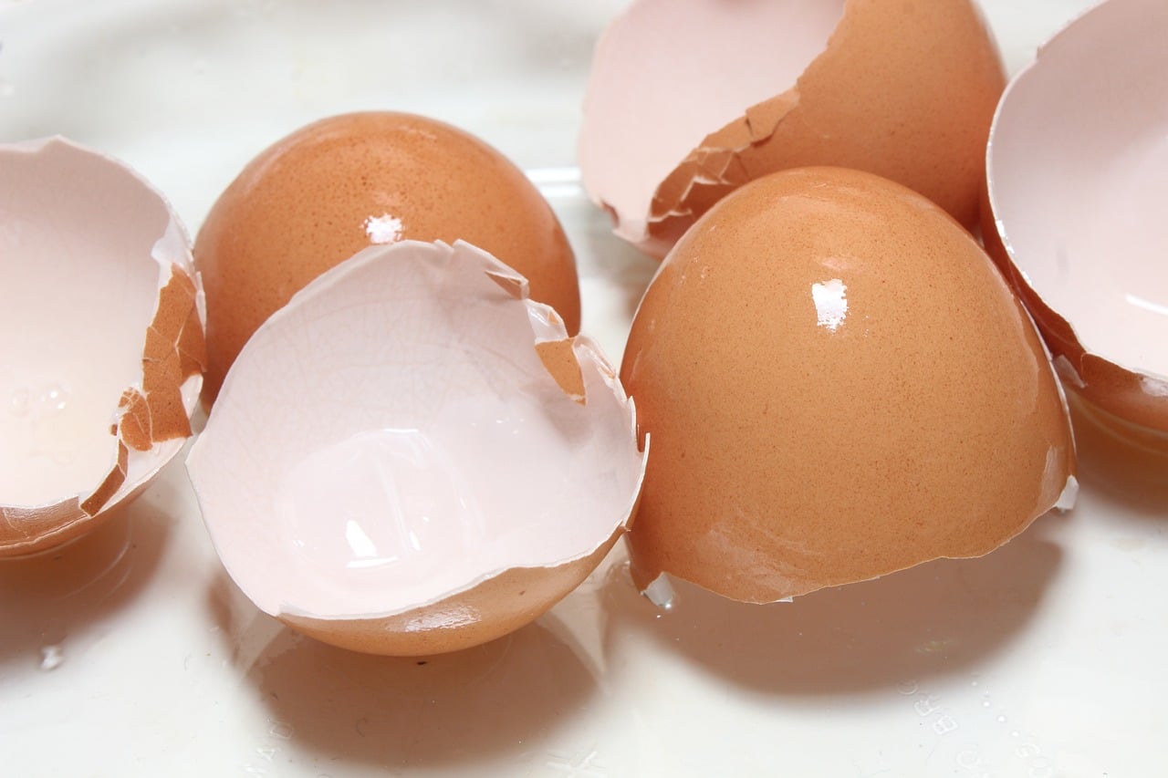 Eggshell Membrane