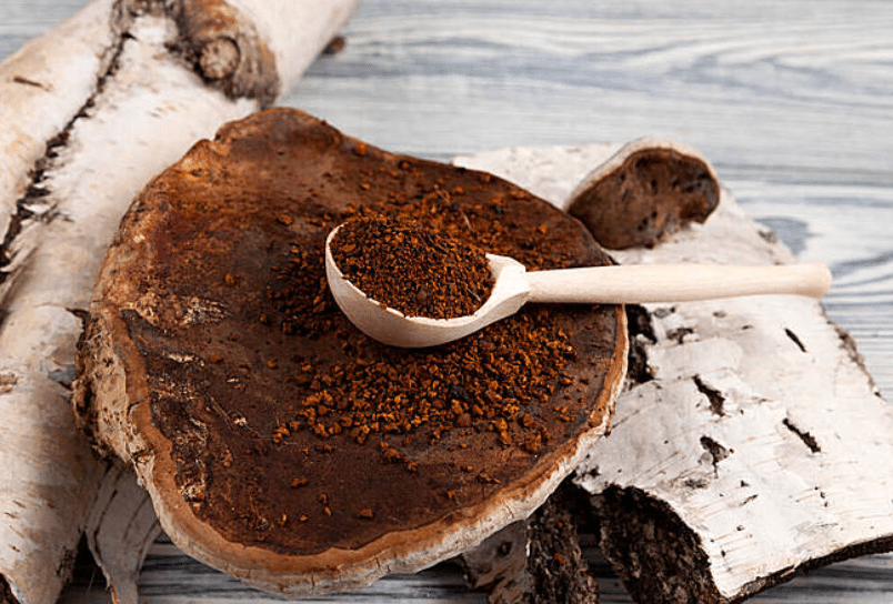  Mushroom powder