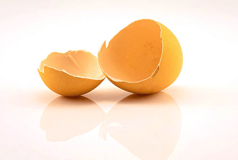 benefits of eggshell membrane