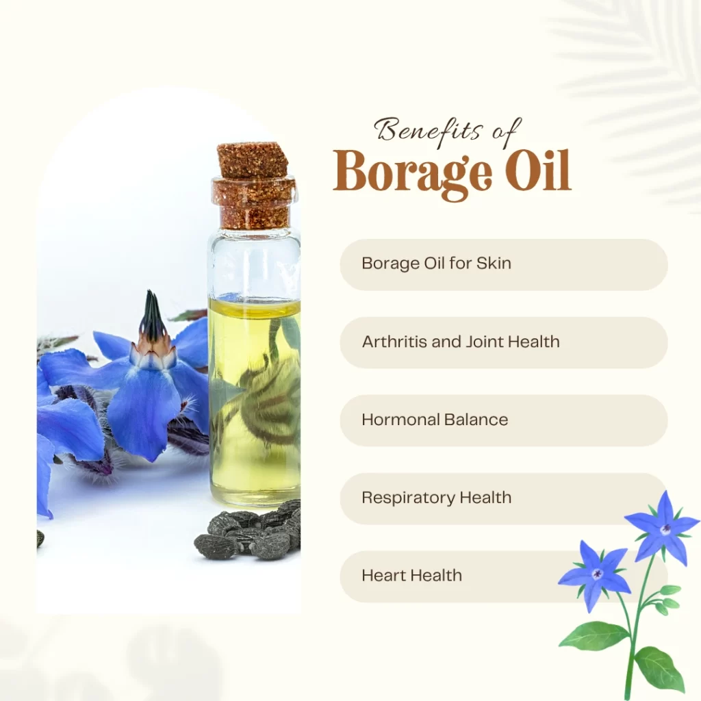 Benefits of Borage Oil