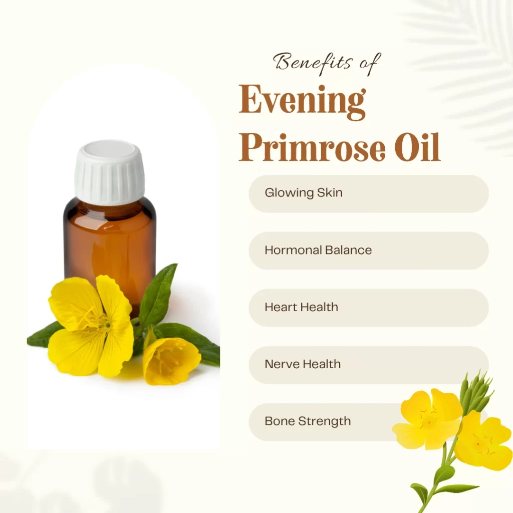Benefits of Evening Primrose Oil