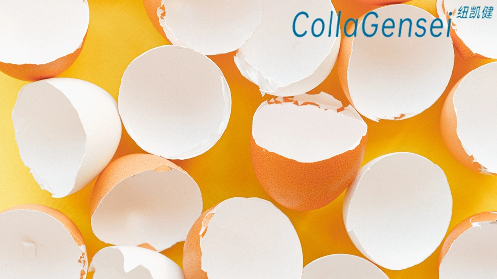 Eggshell Membrane