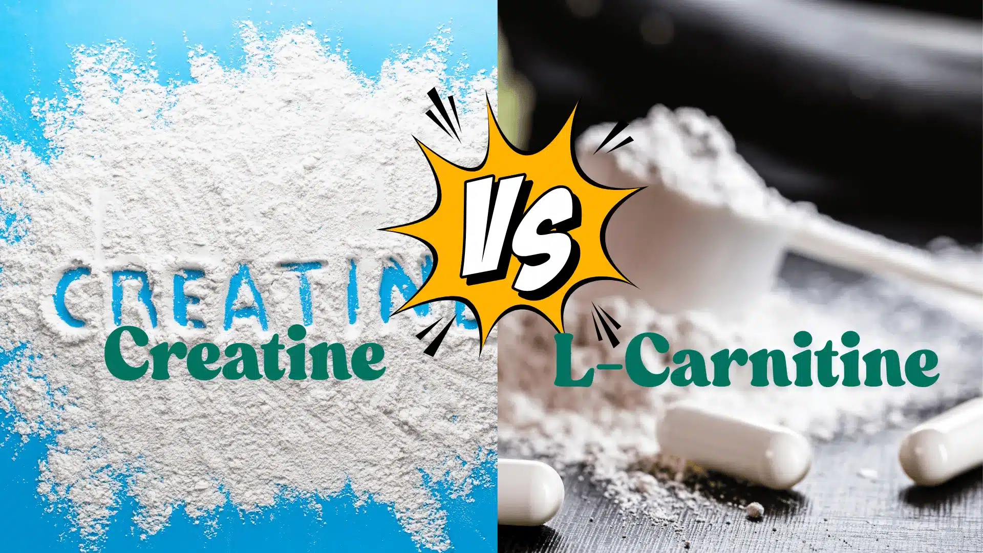 L-Carnitine vs Creatine: Which Supplement Is Best for You?