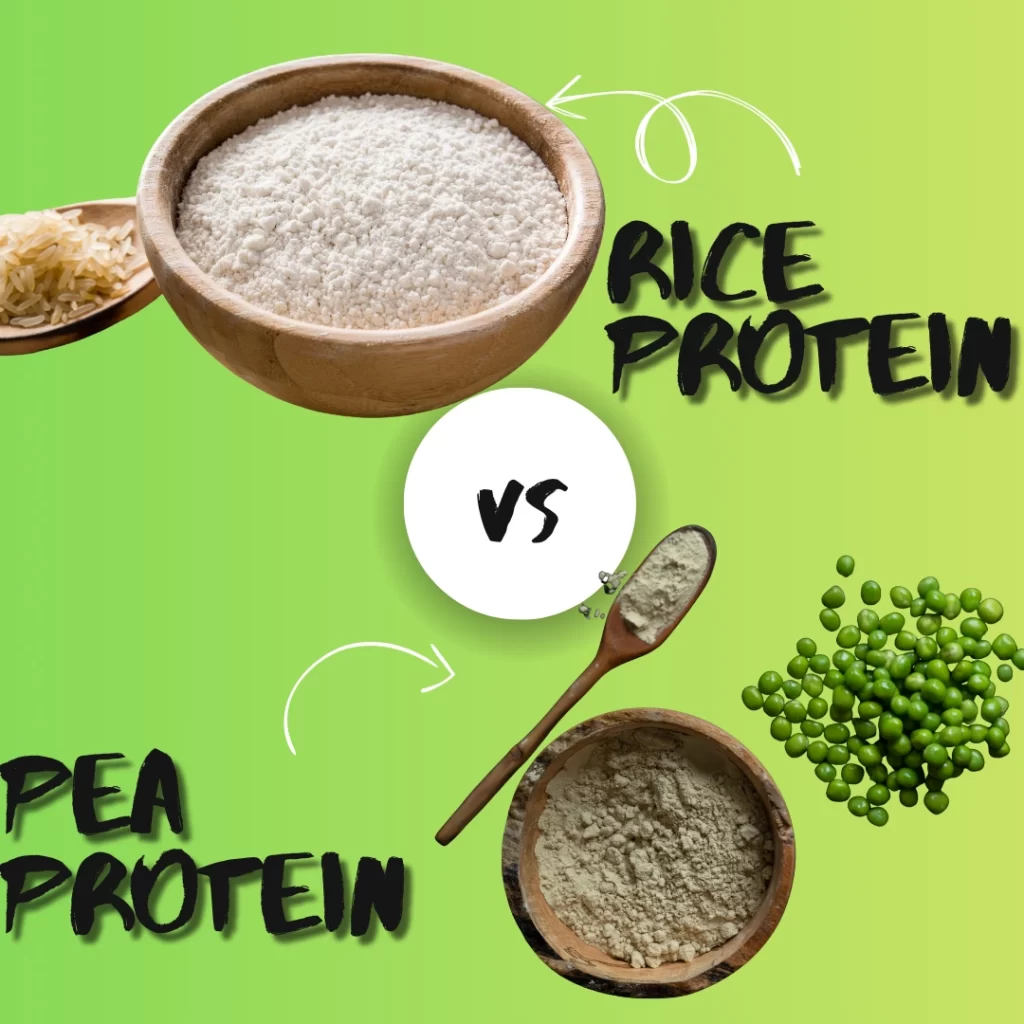 Rice Protein vs Pea Protein: Which Plant-Based Protein Is Right for You?