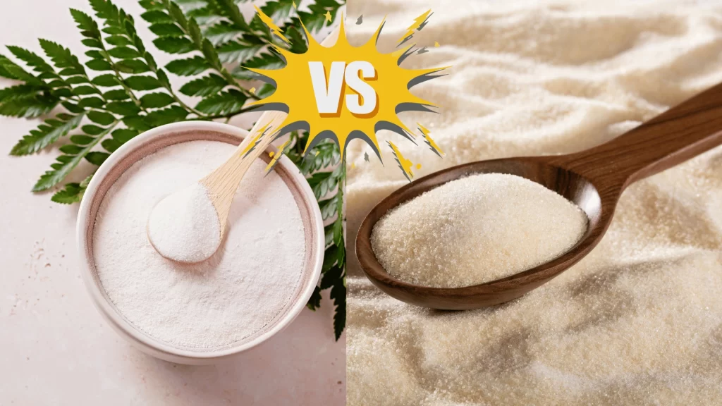 Collagen vs Collagen Peptides: Unraveling the Mystery of Skin and Joint Health