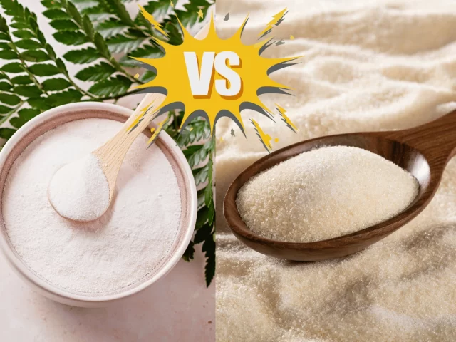 Collagen vs Collagen Peptides: Unraveling the Mystery of Skin and Joint Health