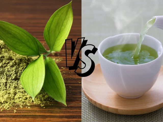 Green Tea Extract vs Green Tea: Which One Delivers Better Health Benefits?