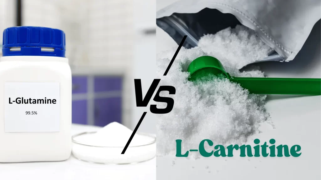 L-Glutamine vs L-Carnitine