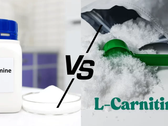 L-Glutamine vs L-Carnitine