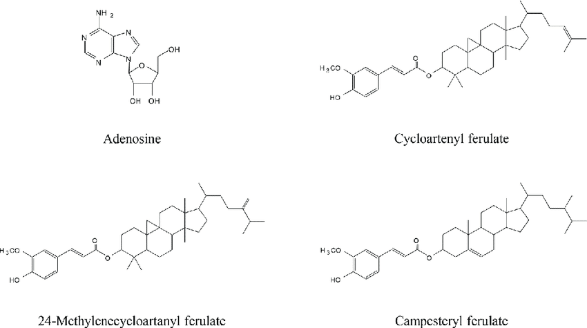 Brown Rice Protein Powder Chemical structure