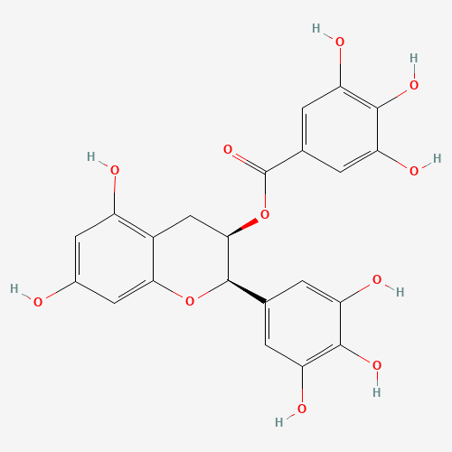 Green Tea Extract Structure