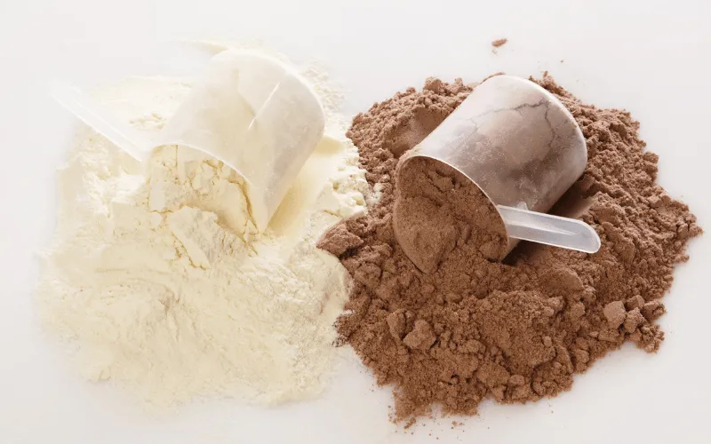 protein supplement types