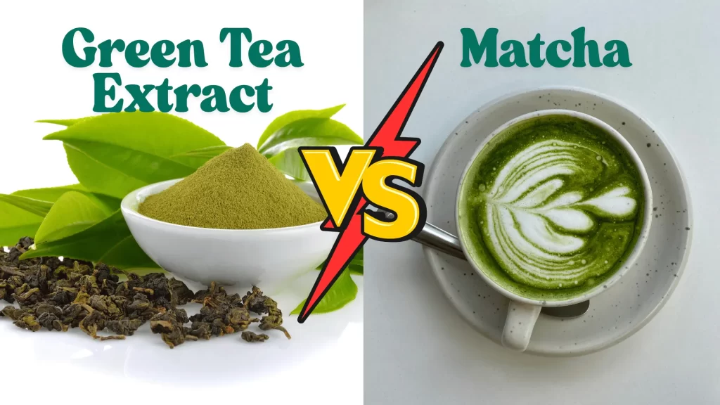 Green Tea Extract vs. Matcha