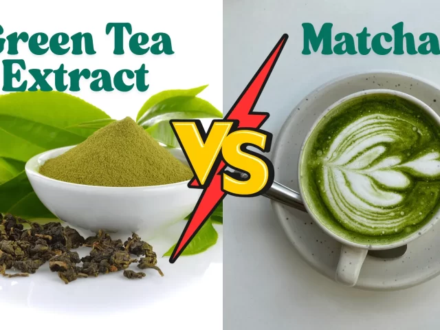 Green Tea Extract vs Matcha: Which Is Right for You?