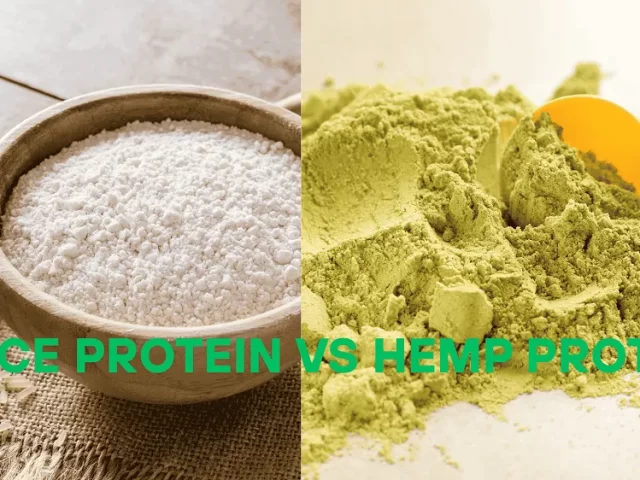 Rice Protein vs Hemp Protein: Which Plant-Based Protein Is Right for You?
