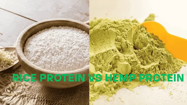 Rice Protein vs Hemp Protein