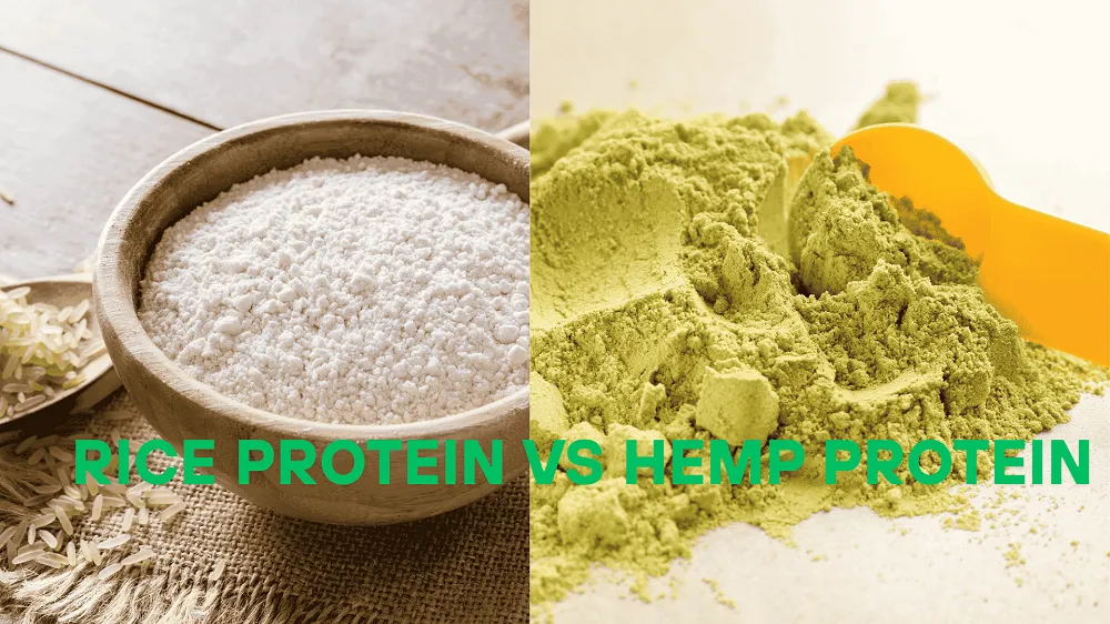 Rice Protein vs Hemp Protein