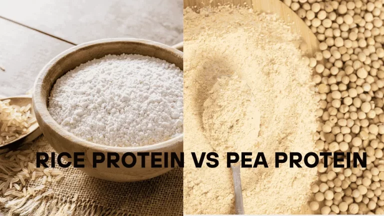 Rice Protein vs Pea Protein