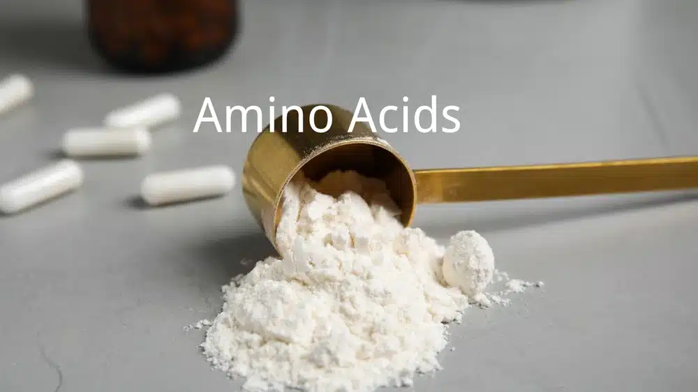 Amino Acids