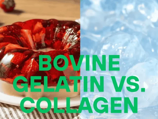 Bovine Gelatin vs Collagen: A Detailed Guide to Choosing the Right Supplement