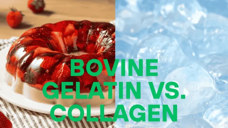 Bovine Gelatin vs Collagen