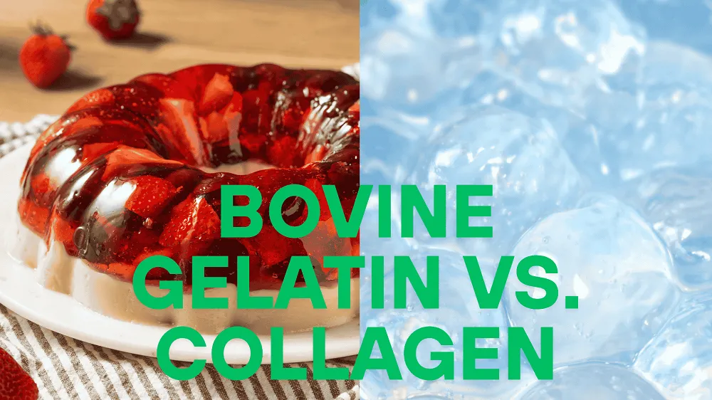 Bovine Gelatin vs Collagen