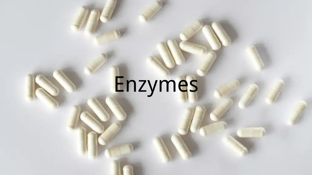 Enzymes