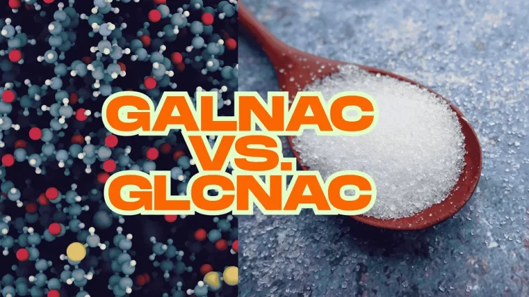 GalNAc vs. GlcNAc