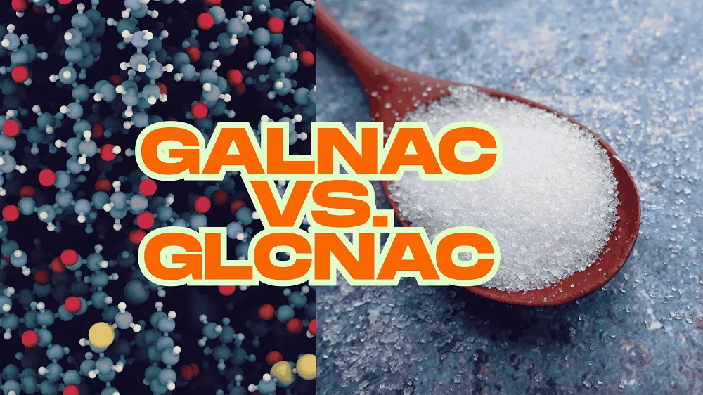 GalNAc vs. GlcNAc